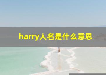 harry人名是什么意思