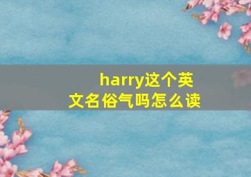 harry这个英文名俗气吗怎么读