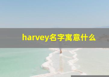 harvey名字寓意什么