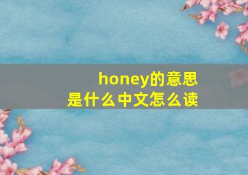 honey的意思是什么中文怎么读