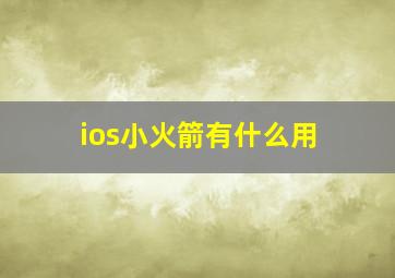 ios小火箭有什么用