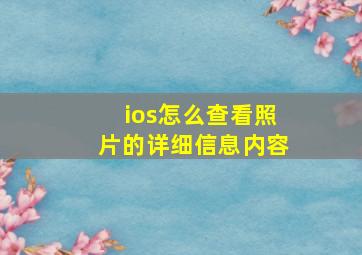 ios怎么查看照片的详细信息内容