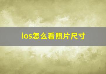 ios怎么看照片尺寸