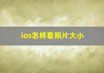 ios怎样看照片大小