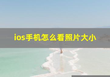 ios手机怎么看照片大小