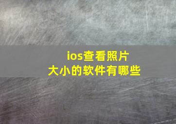 ios查看照片大小的软件有哪些