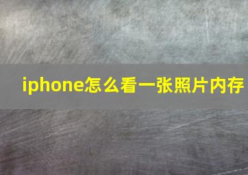 iphone怎么看一张照片内存