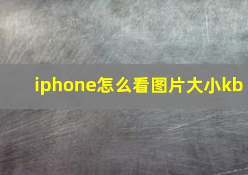 iphone怎么看图片大小kb