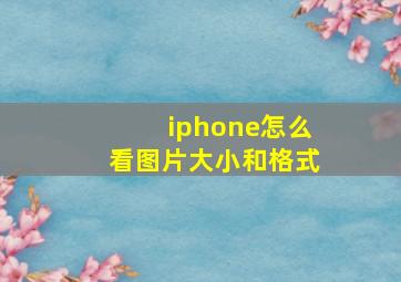 iphone怎么看图片大小和格式