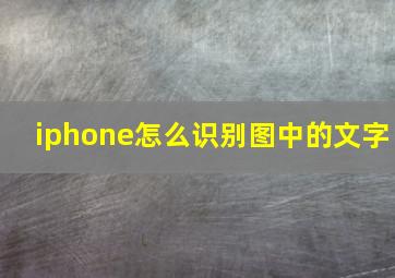 iphone怎么识别图中的文字