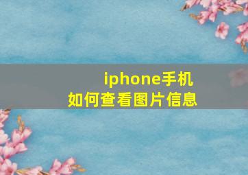 iphone手机如何查看图片信息