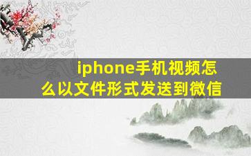 iphone手机视频怎么以文件形式发送到微信