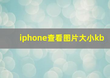 iphone查看图片大小kb