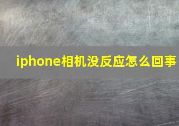 iphone相机没反应怎么回事