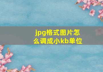 jpg格式图片怎么调成小kb单位