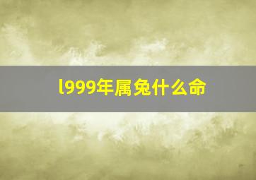 l999年属兔什么命