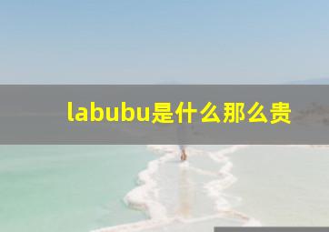 labubu是什么那么贵