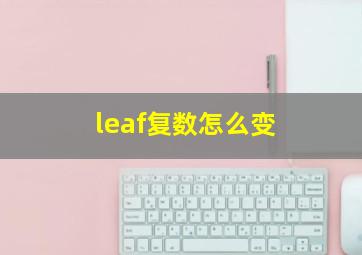 leaf复数怎么变