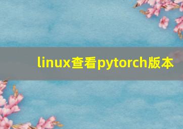 linux查看pytorch版本