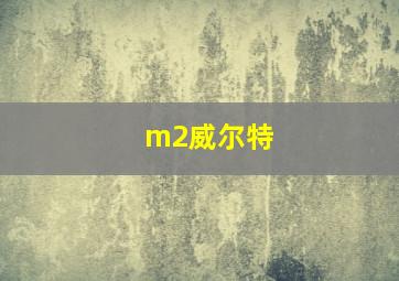 m2威尔特