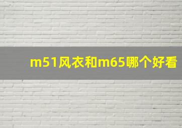 m51风衣和m65哪个好看