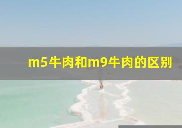 m5牛肉和m9牛肉的区别