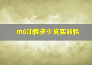 m6油耗多少真实油耗