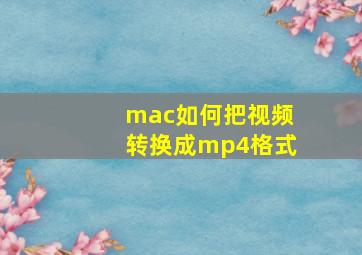 mac如何把视频转换成mp4格式