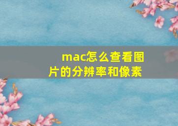 mac怎么查看图片的分辨率和像素