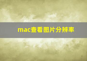 mac查看图片分辨率