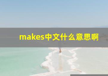 makes中文什么意思啊