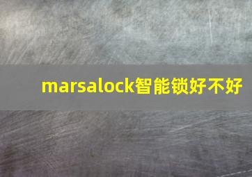 marsalock智能锁好不好