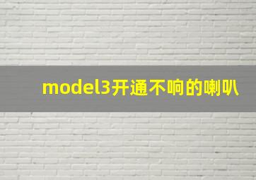 model3开通不响的喇叭