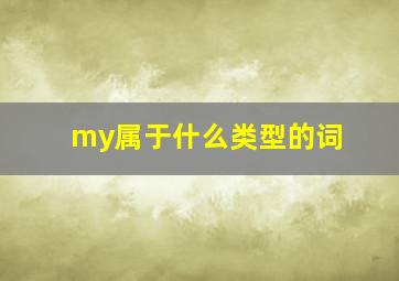 my属于什么类型的词