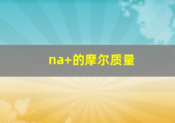 na+的摩尔质量