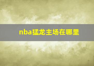 nba猛龙主场在哪里