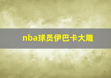 nba球员伊巴卡大雕