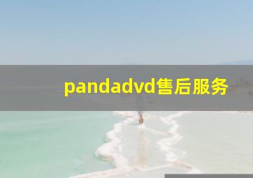 pandadvd售后服务