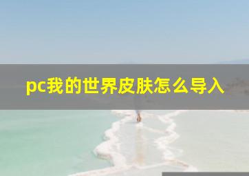 pc我的世界皮肤怎么导入