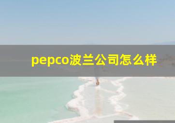 pepco波兰公司怎么样