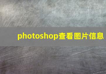 photoshop查看图片信息