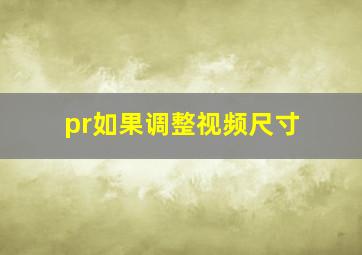 pr如果调整视频尺寸