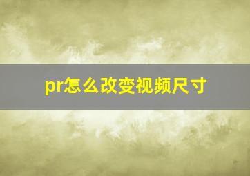 pr怎么改变视频尺寸