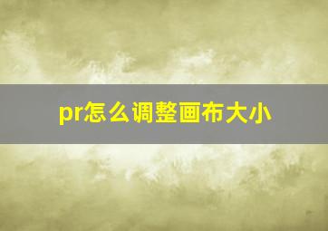 pr怎么调整画布大小