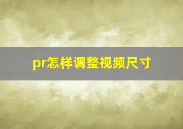 pr怎样调整视频尺寸