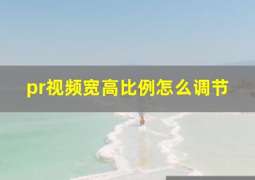 pr视频宽高比例怎么调节