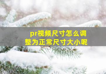 pr视频尺寸怎么调整为正常尺寸大小呢