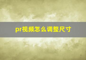 pr视频怎么调整尺寸