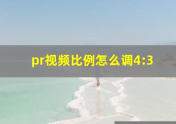 pr视频比例怎么调4:3