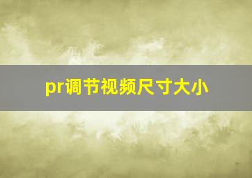 pr调节视频尺寸大小